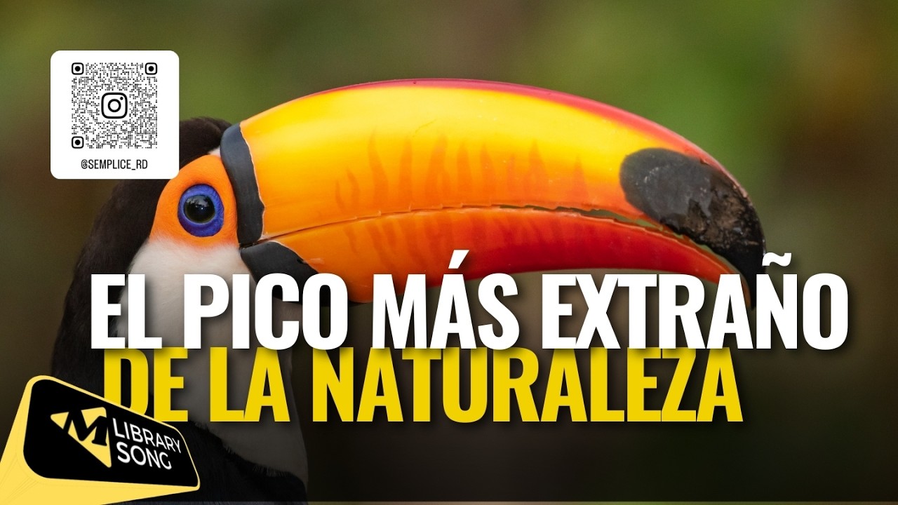 El pico más extraño de la naturaleza