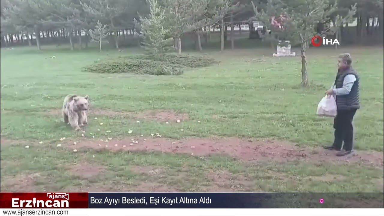Boz Ayıyı Besledi, Eşi Kayıt Altına Aldı
