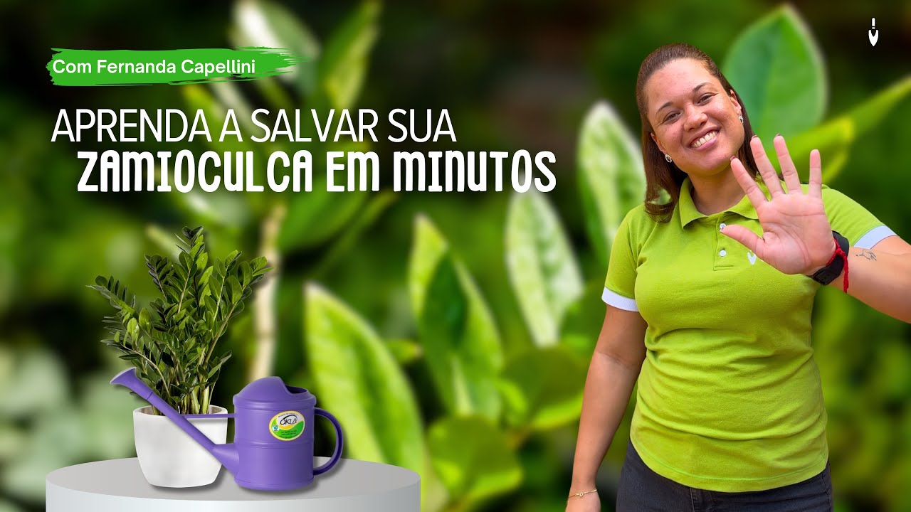 SALVE sua ZAMIOCULCA em MINUTOS (dicas e cuidados) | Fernanda Capellini