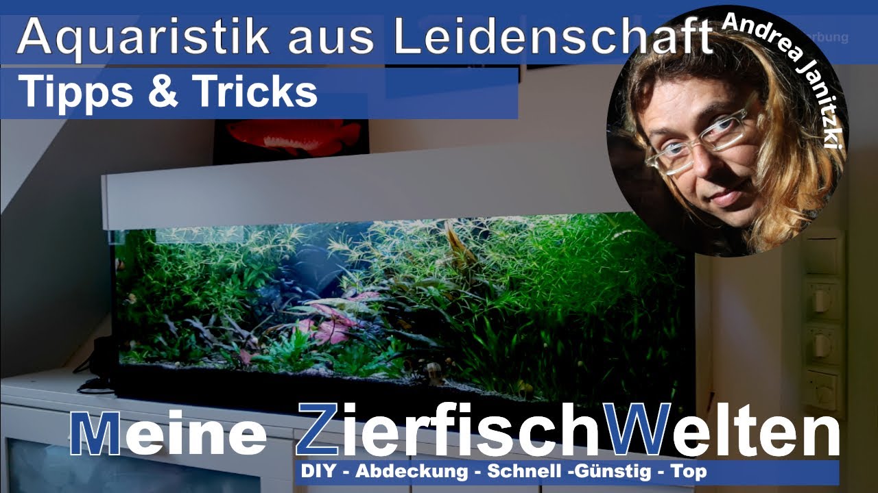 Tipps & Tricks   Aquarium - Abdeckung - Schnell - Günstig - Top