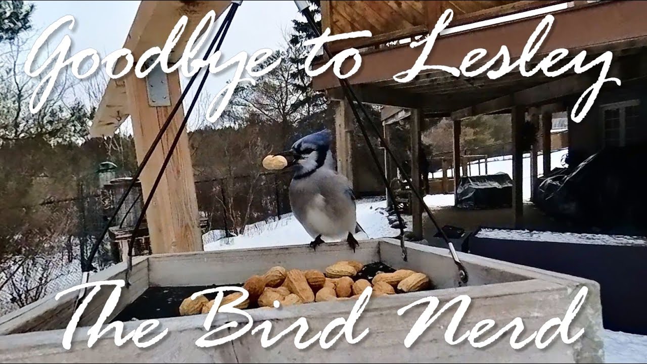 Goodbye to Lesley the Bird Nerd and Happy Birding!