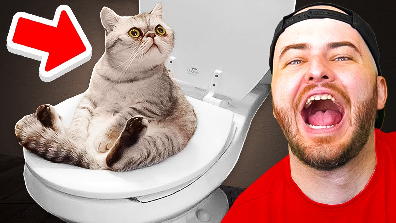 These Tiktoks Are Not Funny (DO NOT LAUGH)