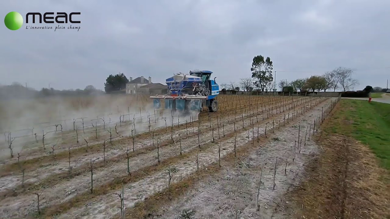 Intérêt de l'épandage de CaCO3 sur vigne