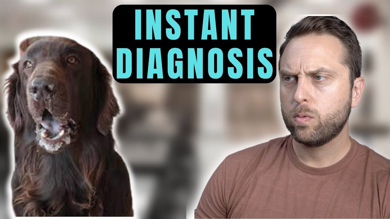 4 Things You Can Diagnose On Sight