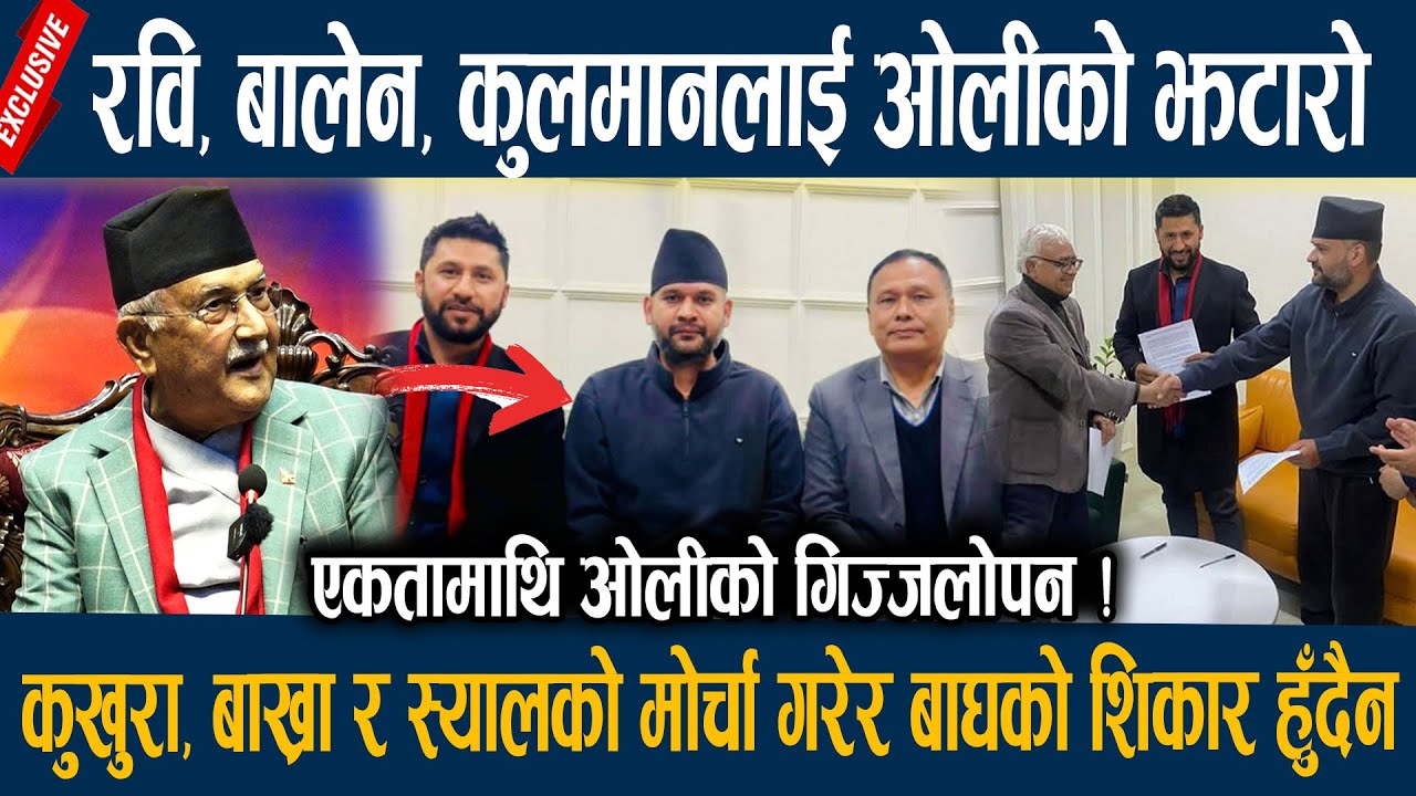 रवि, बालेन, कुलमानलाई ओलीको झटारो, कुखुरा, बाख्रा र स्यालको मोर्चा गरेर बाघको शिकार हुँदैन KP OLI