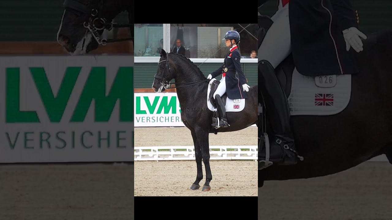 Fei literally REWARDS ABUSE. We shouldn't let this happen to horses.