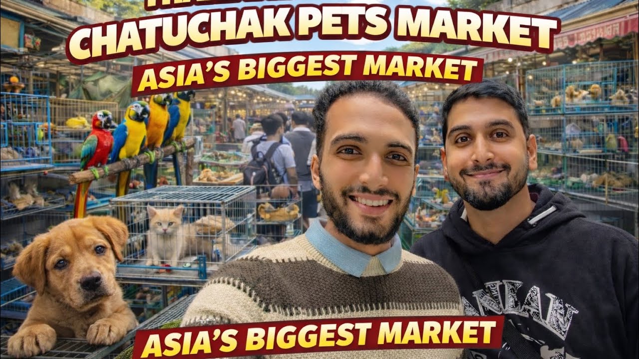Bangkok Shopping Paradise 🇹🇭 | Ultimate Chatuchak Market Tour
