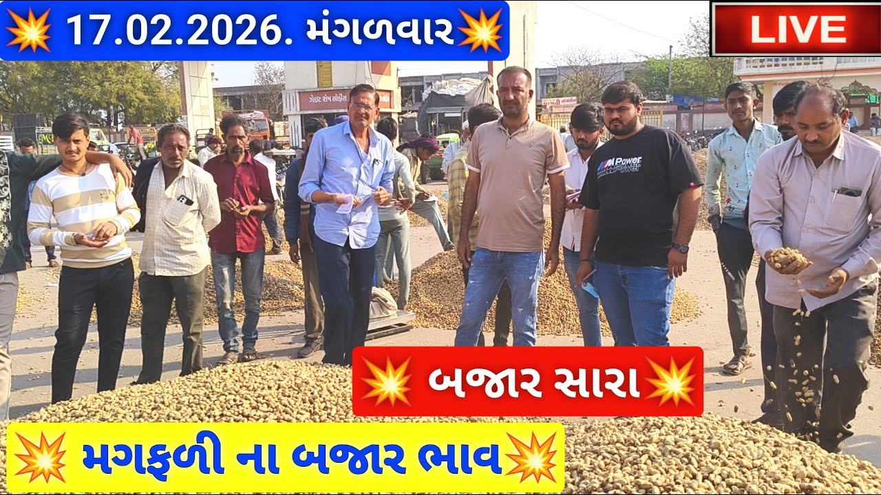 🔴live મગફળી ના બજાર ભાવ આજના જસદણ માર્કેટિંગ યાર્ડ, groundnut auction price today,February 17, 2026