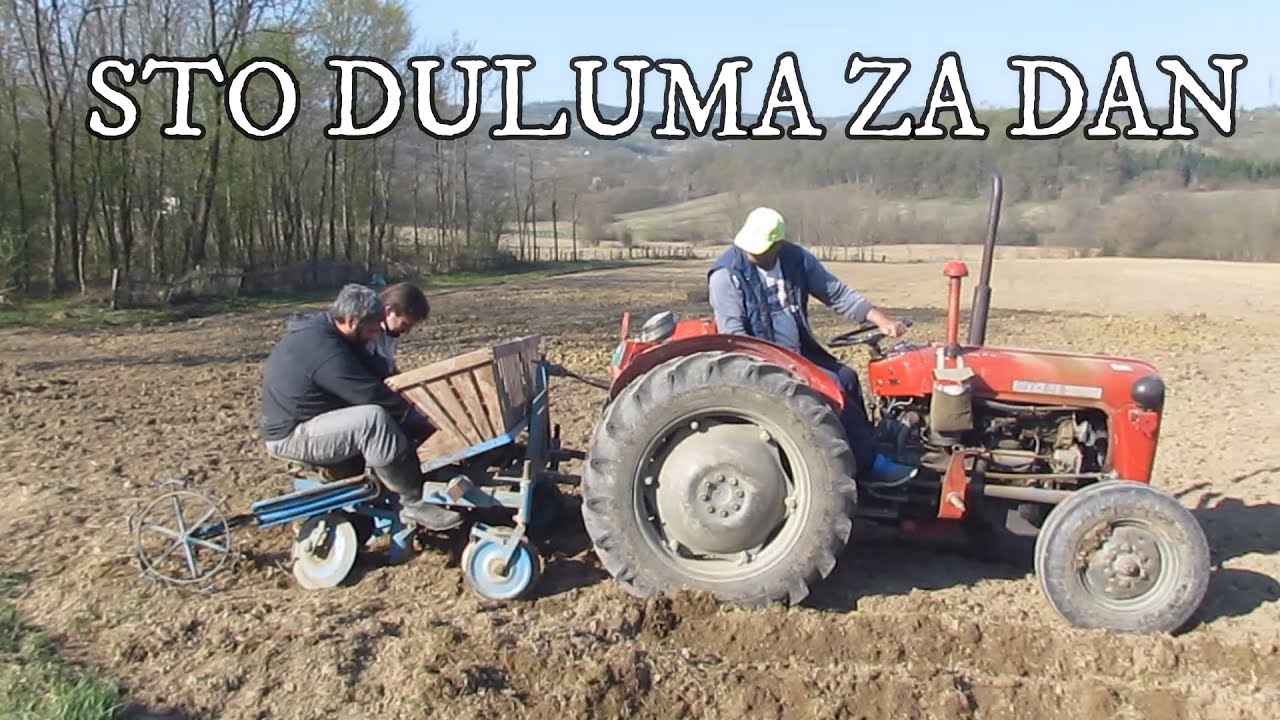 SADNJA KROMPIRA - IMANJE VOJINA POPOVIĆA