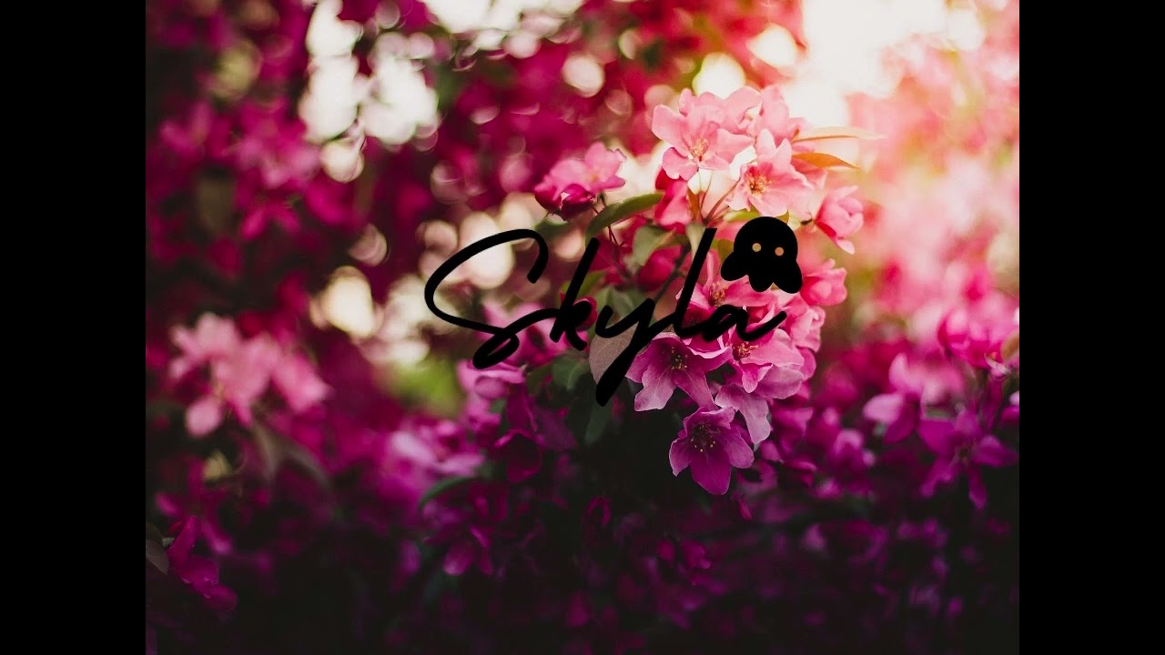 Lisandro Cuxi x Dj Skyla ft Dj SteVen LaLaLand(zoukompa2023)