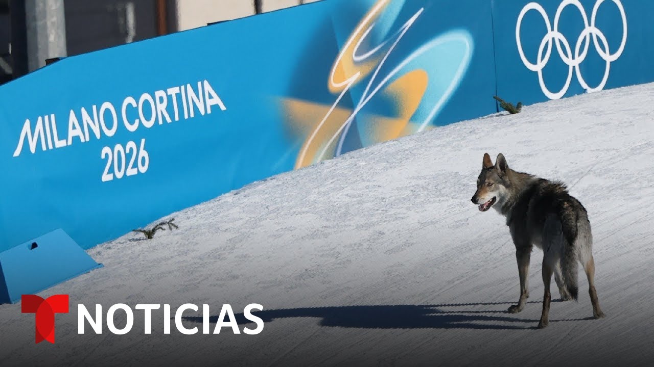 El choque de EE.UU. en el hockey olímpico y la sorpresa de un perro son noticia en Milán-Cortina