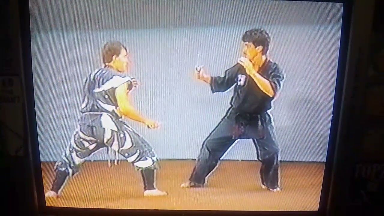 Ninjutsu knife fighting