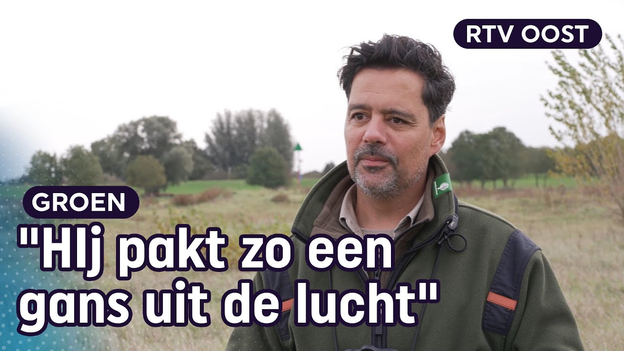 Op zoek naar de grootste roofvogel van Nederland: de zeearend | RTV Oost