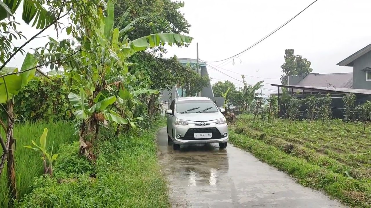 Rain and nature in village life امطار غزيرة في القرية والريف