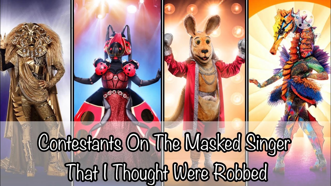 Contestants On The Masked Singer That I Thought Were Robbed