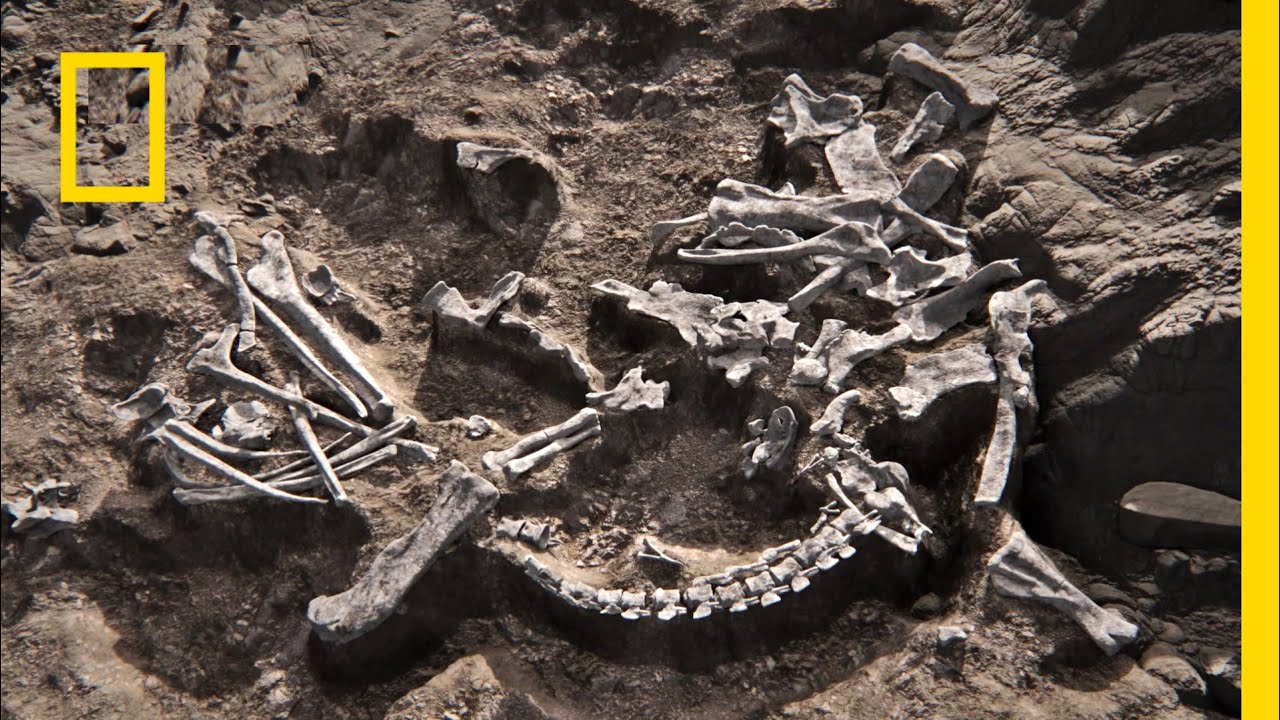 Zobacz, jak wyglądał największy dinozaur świata! | Wyprawa na dno