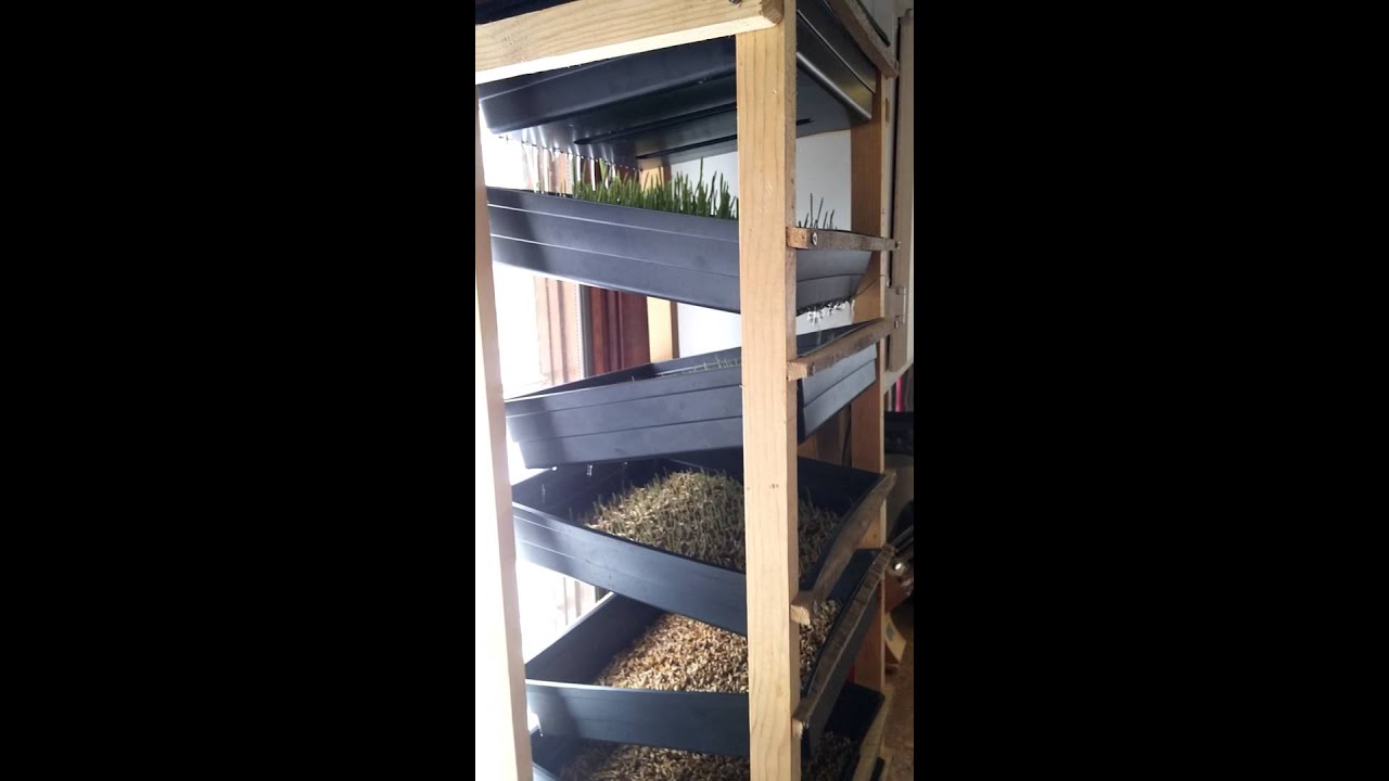 Fodder System
