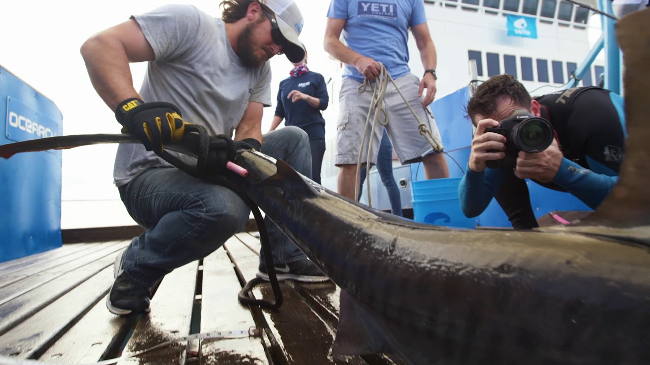 About OCEARCH
