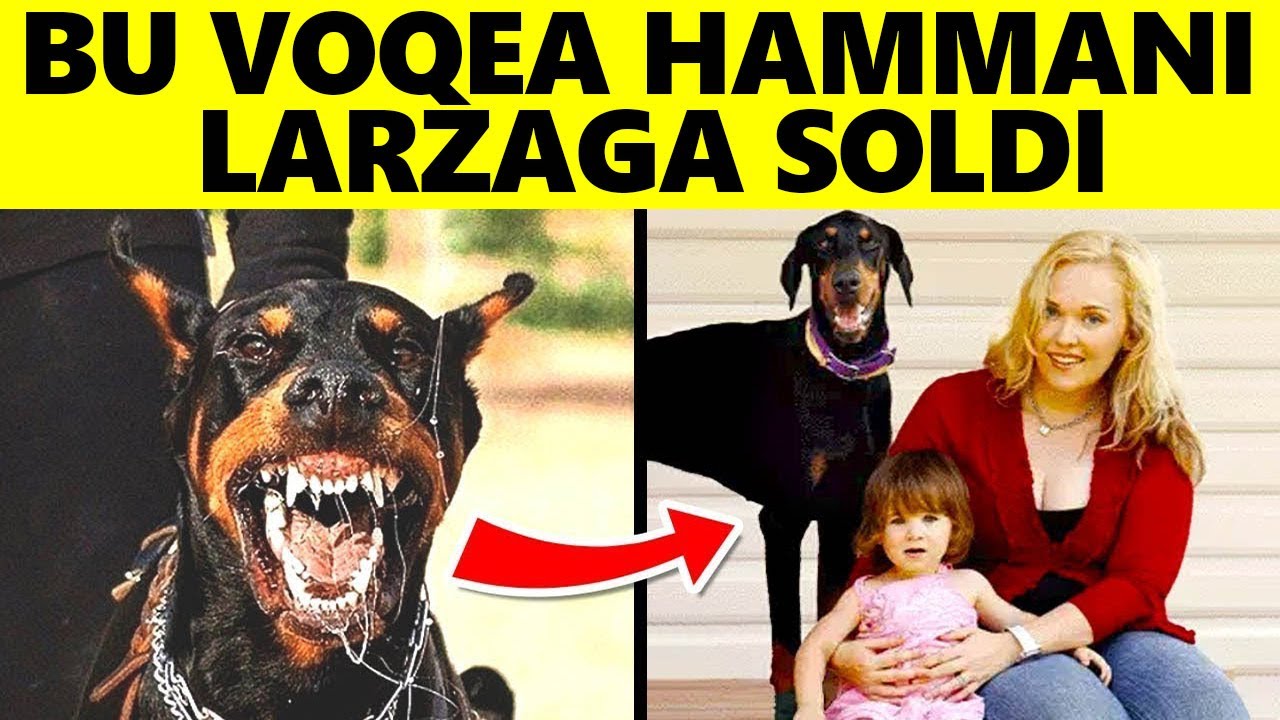 Ular Doberman Boqib Olishdi Va 5 Kundan Keyin Qichqiriq Eshitishdi...