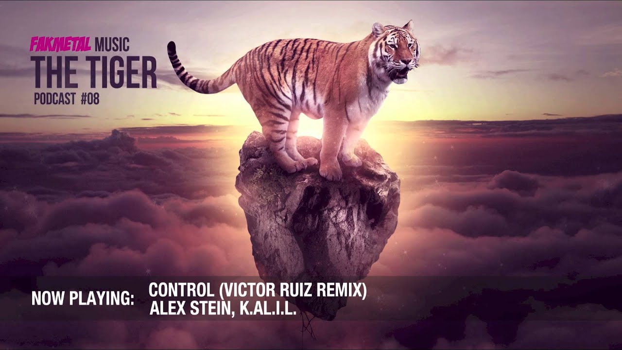 Chris Lawyer - Fakmetal Music #8 The Tiger