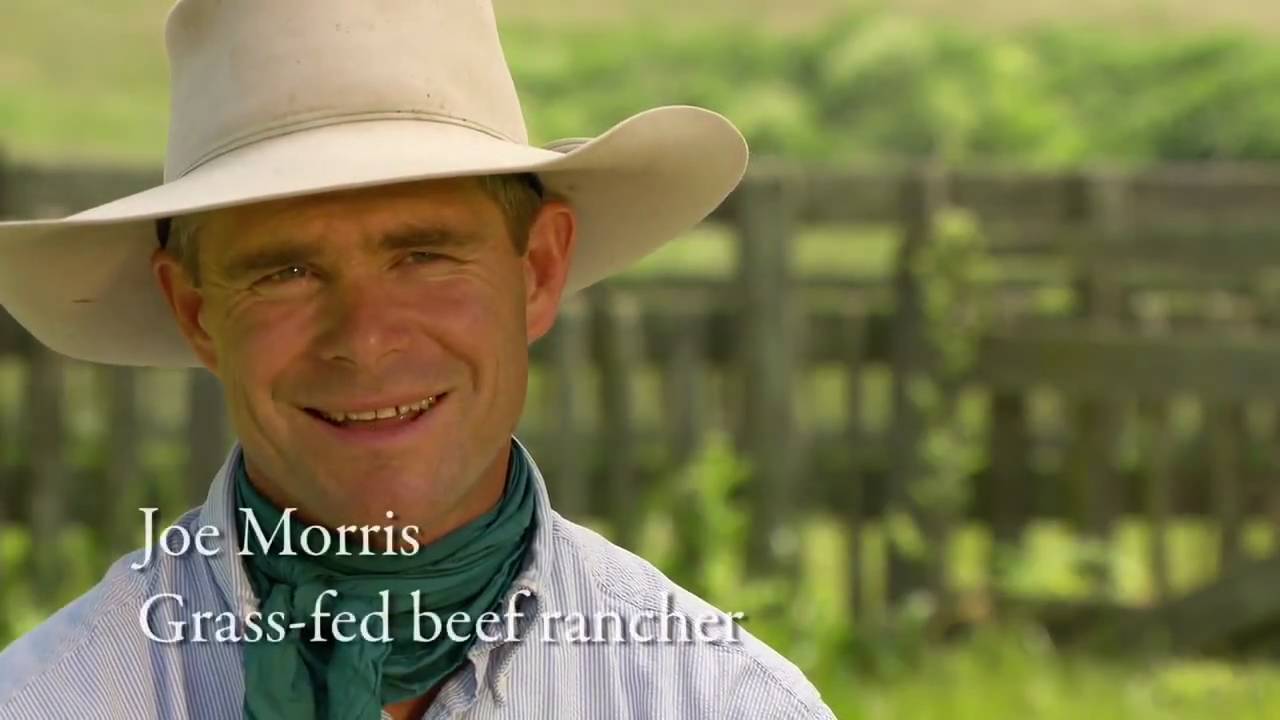 Food Forward TV Series Trailer