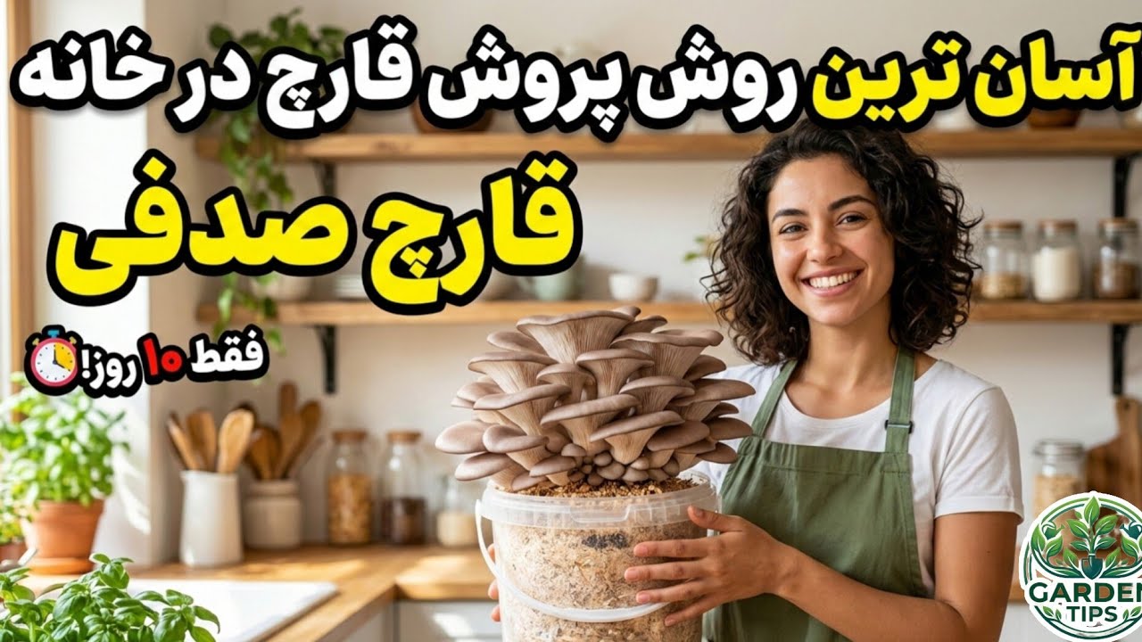 آسان‌ترین روش پرورش قارچ صدفی (سمارق)