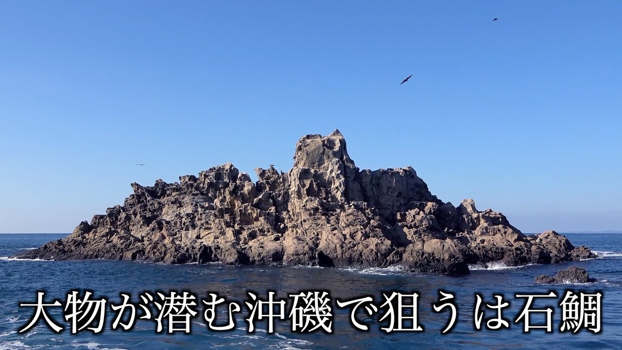 大物が潜む離島で石鯛を狙ったらアタリが連発!!㊙︎仕掛けでは１投で・・・