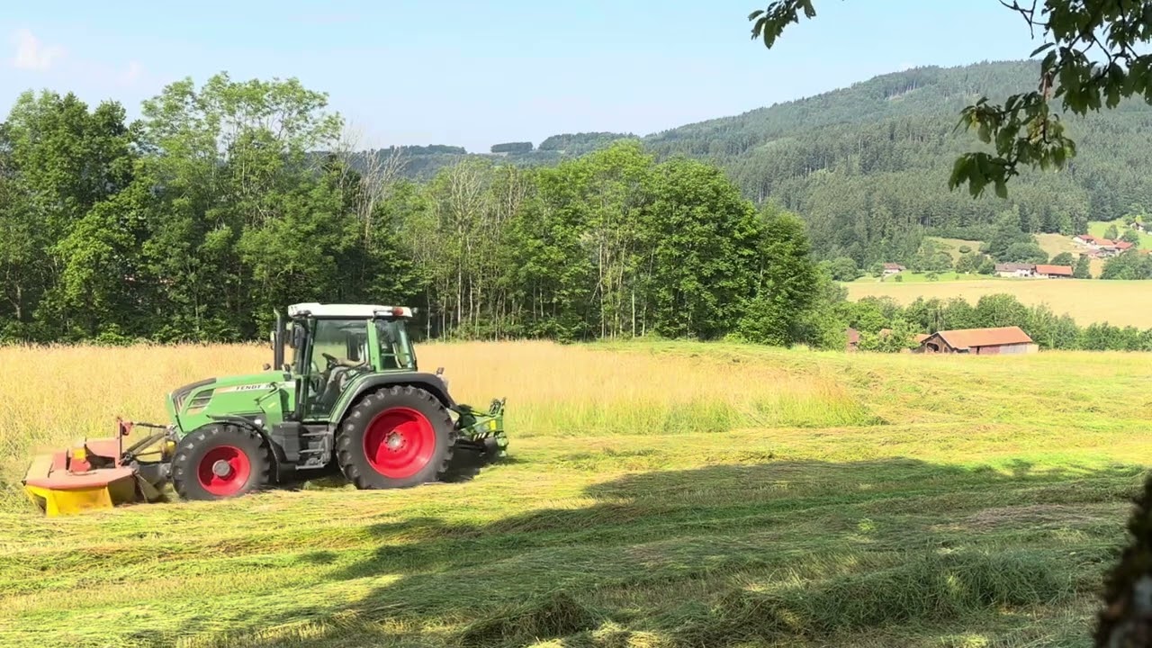 Fendt 310 Vario, Fella KM 300 FP und Krone AM 280 beim ersten Schnitt 2023