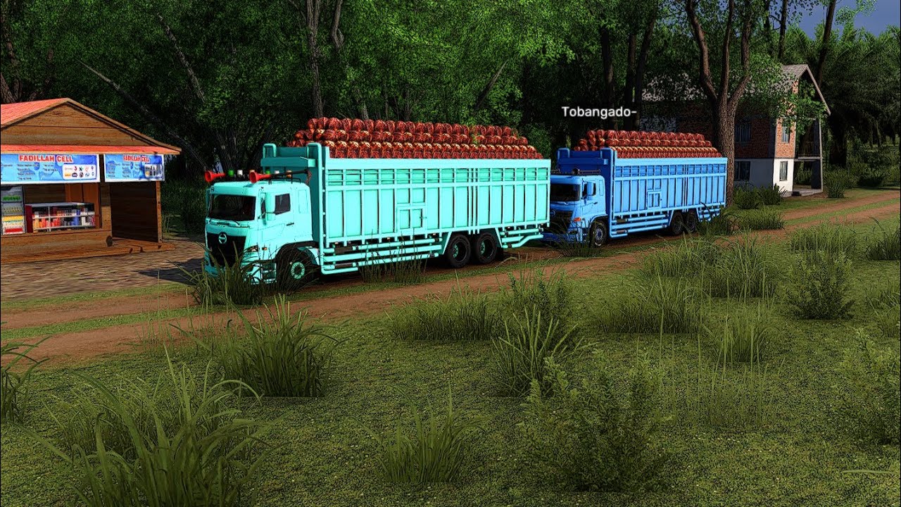 perjuangan 2 truck hino banci 6x2 muatan sawit full kluar dari dalam hutan.milik PT.MB_TRANSPORT 