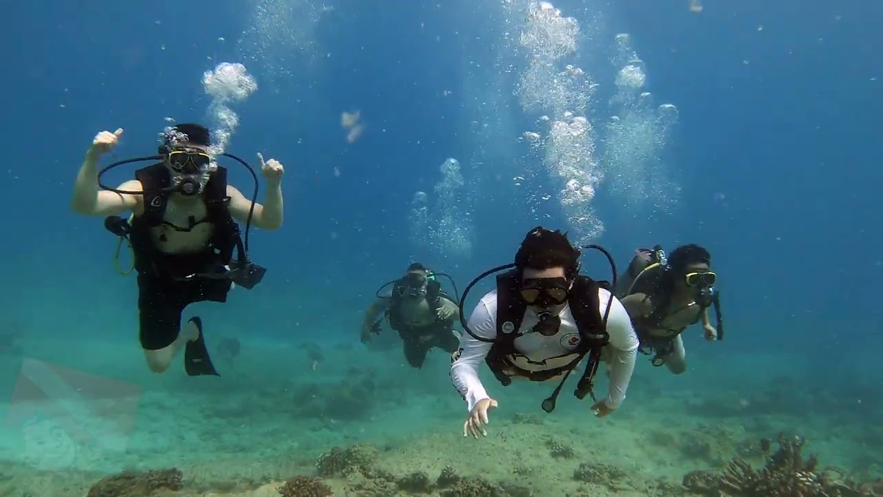 Beginner SCUBA Hawaii - Vlog 721