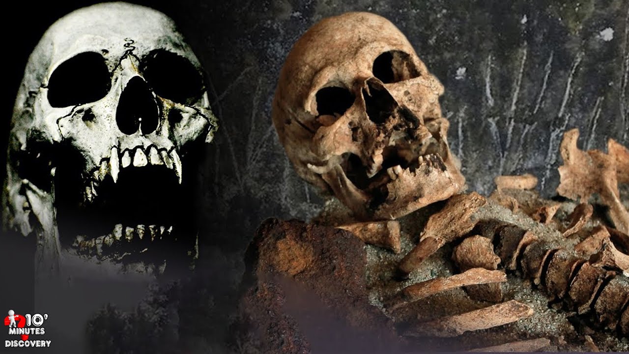 7 Most Mysterious Archaeological Discoveries in Ireland That Will Shock You!