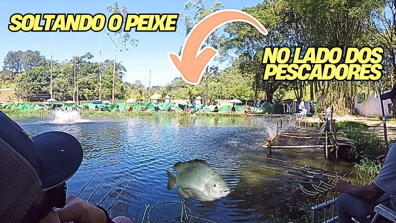 PESCARIA DE DIARIA NO PESQUEIRO PIUM