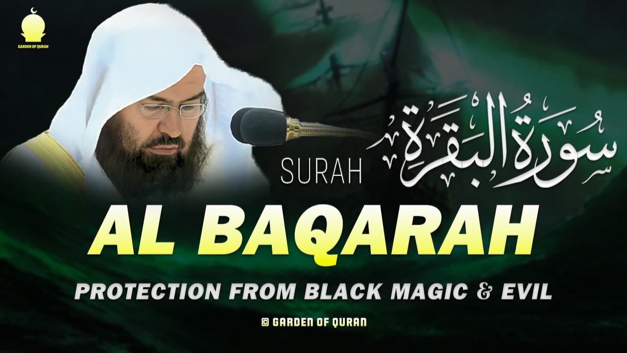 Surah Al-Baqarah (سورة البقرة) | Ideal for Stress Relief & Spiritual Comfort | Sheikh Sudais