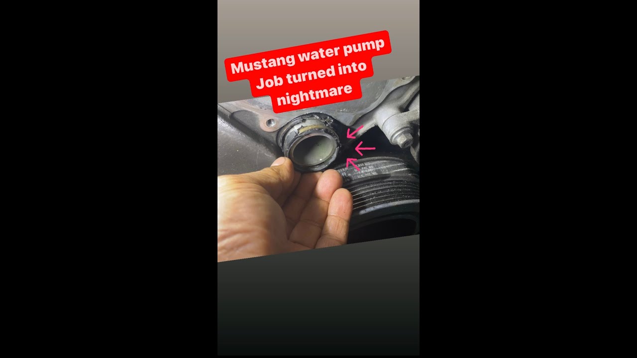 Ford Mustang 3.7 what you should know when replacing water pump assembly …