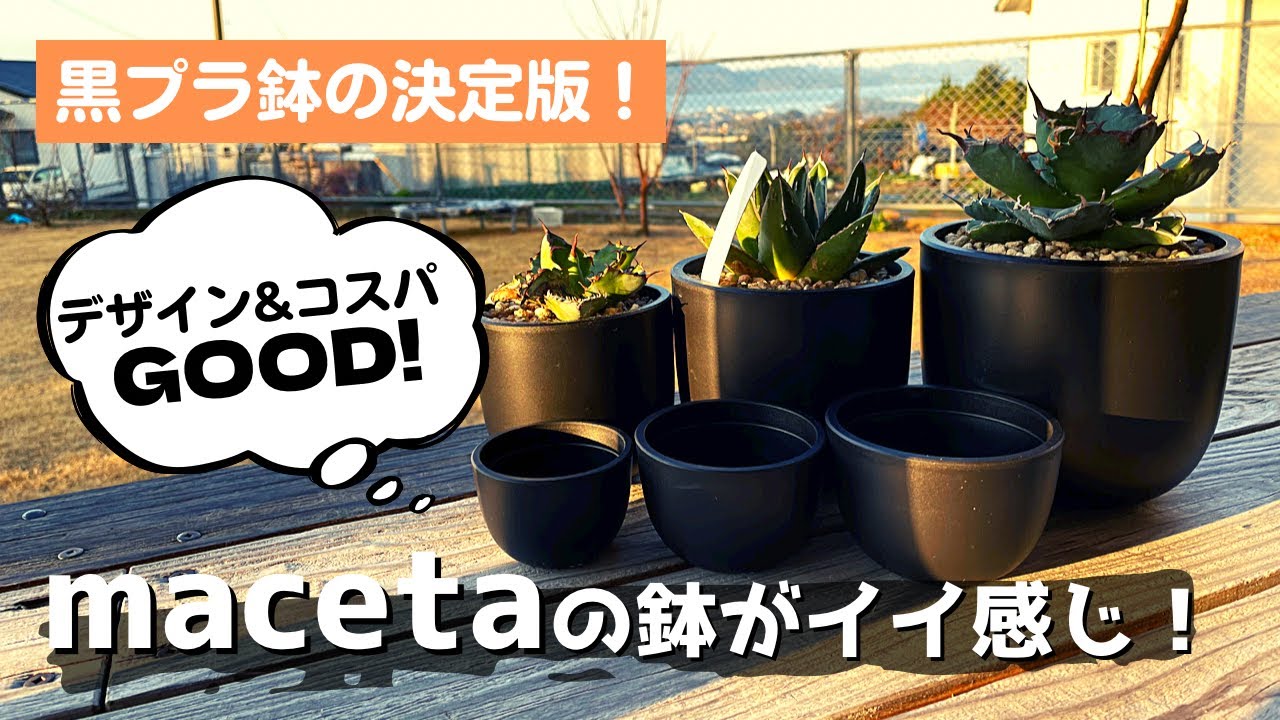 【コスパ◎デザイン◎】最高の黒プラ鉢を見つけたぞ！【maceta】