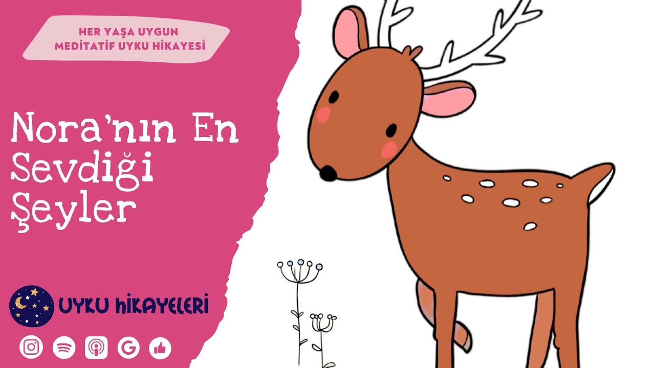 Nora'nın En Sevdiği Şeyler