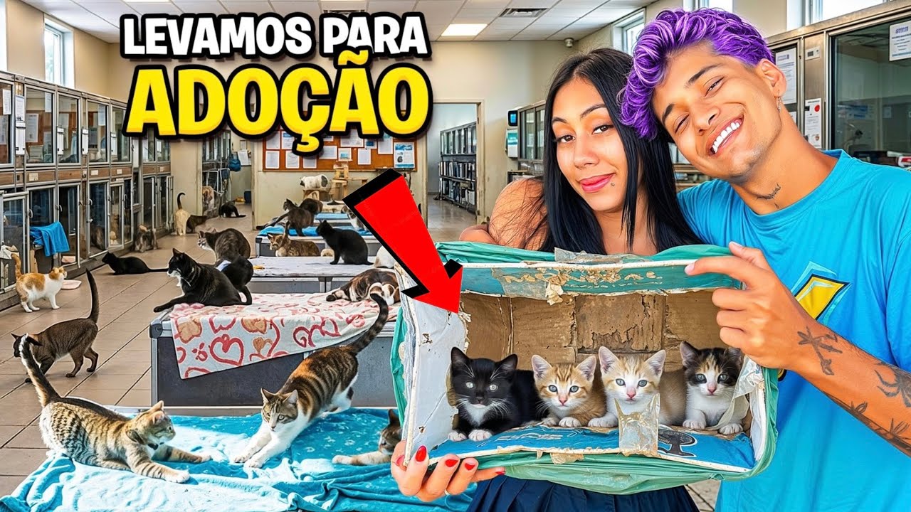 RESGATEI 4 GATINHOS ABANDONADOS NO MEIO DO LIXO *levamos para adoção