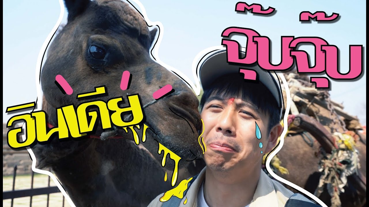 'Jaipur' ชัยปุระชุบแป้งทอด! [อาสาพาไปหลง อินเดีย จุ๊บ จุ๊บ] EP.3