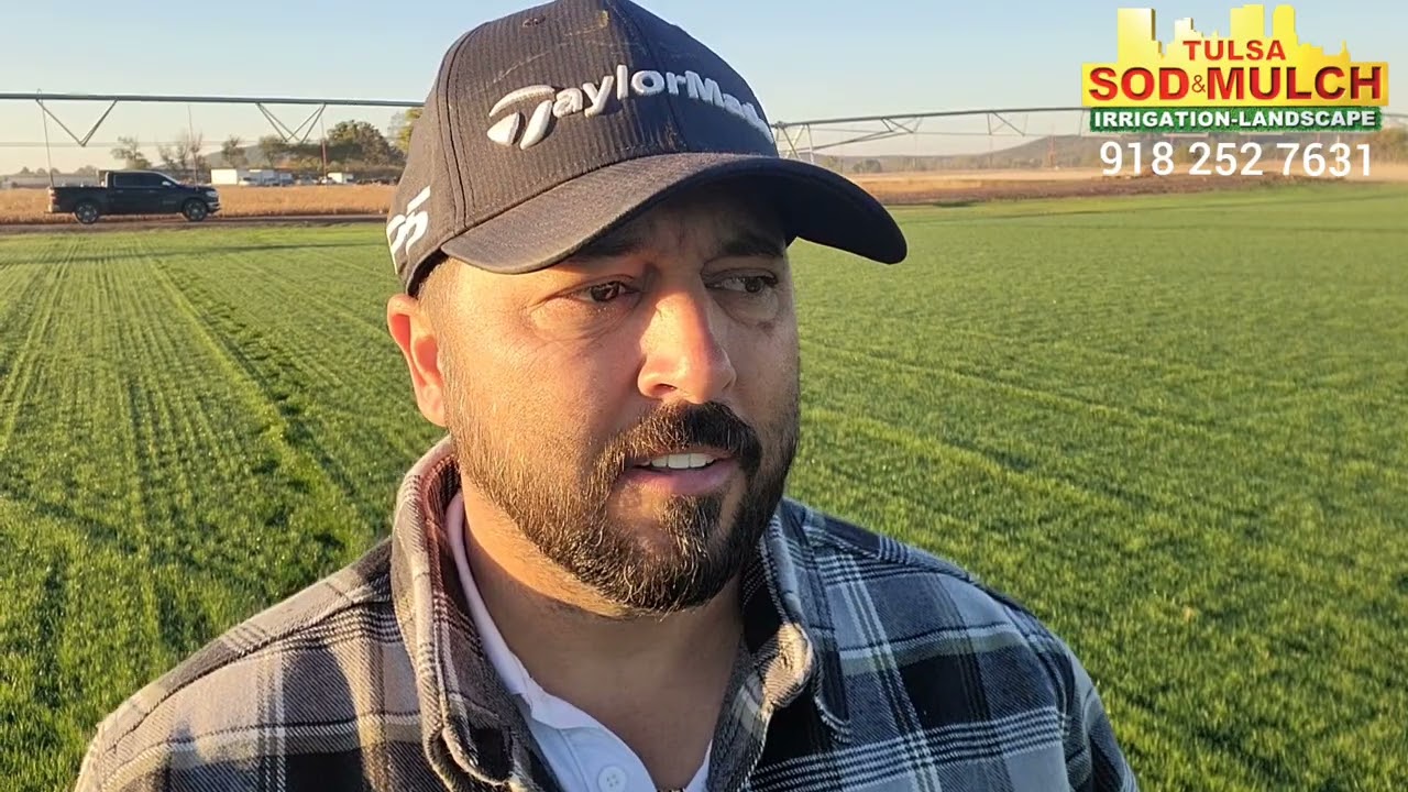 Fescue seed planting (day 30)