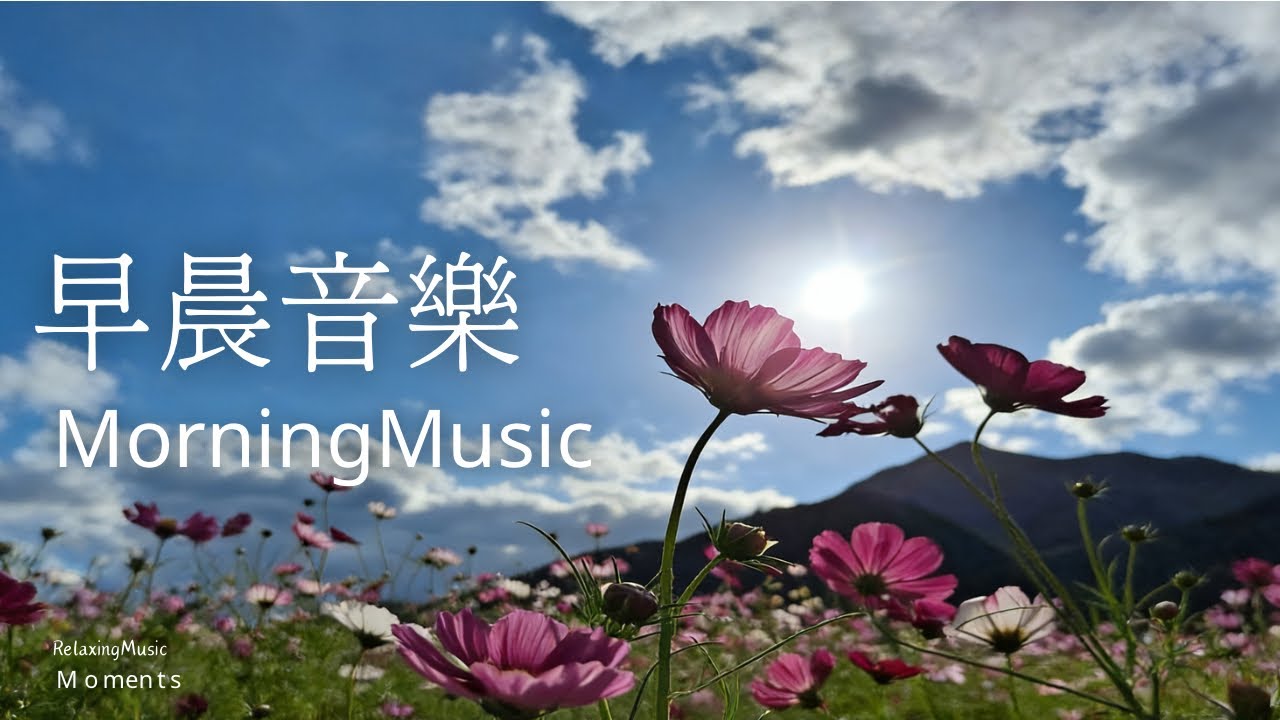 🌤️晦～早安，早晨音樂1小時Morning Music｜讓美好的鋼琴旋律陪你一起迎接早晨｜Relaxing Music｜柔和鋼琴音樂 水晶音樂#morning mu sic