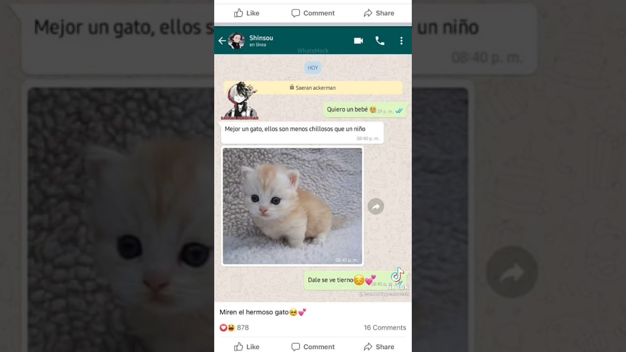 BNHA respondiendo a quiero un bebé