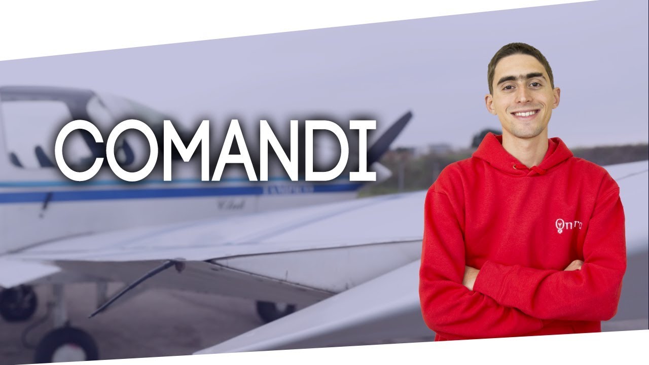 Come funzionano i comandi di un vero aereo?