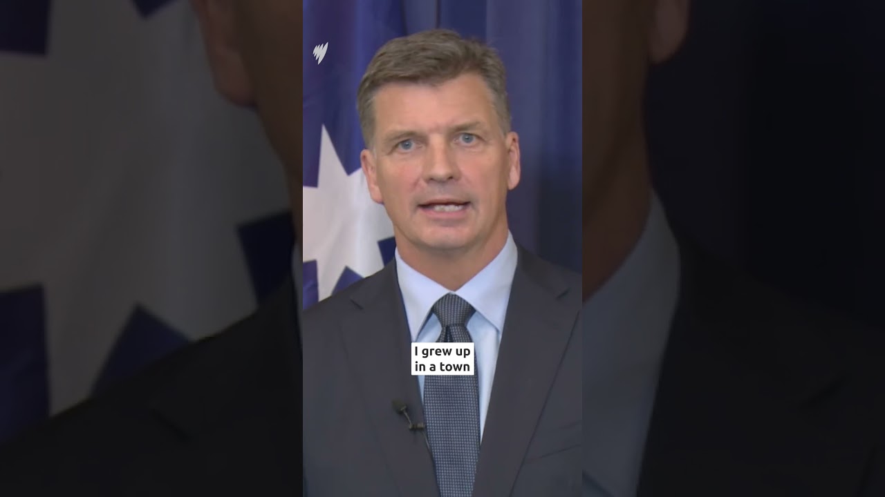 New Opposition leader Angus Taylor responds to One Nation comparisons