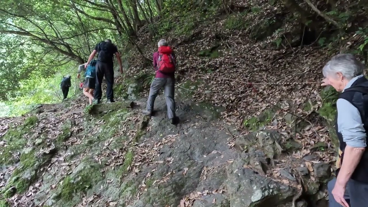 Kyoto Nishiyama Trail: Kyotaki to Arashiyama, May 2024