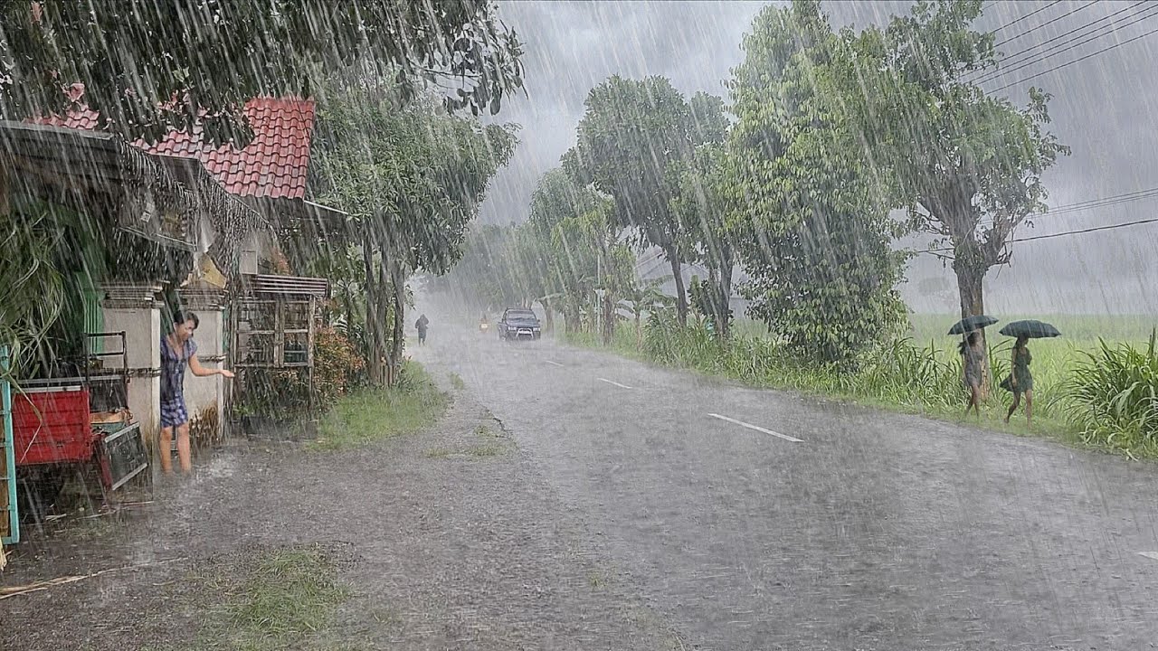 the biggest rainstorm in history in the village, strong winds and lightning every day in the village