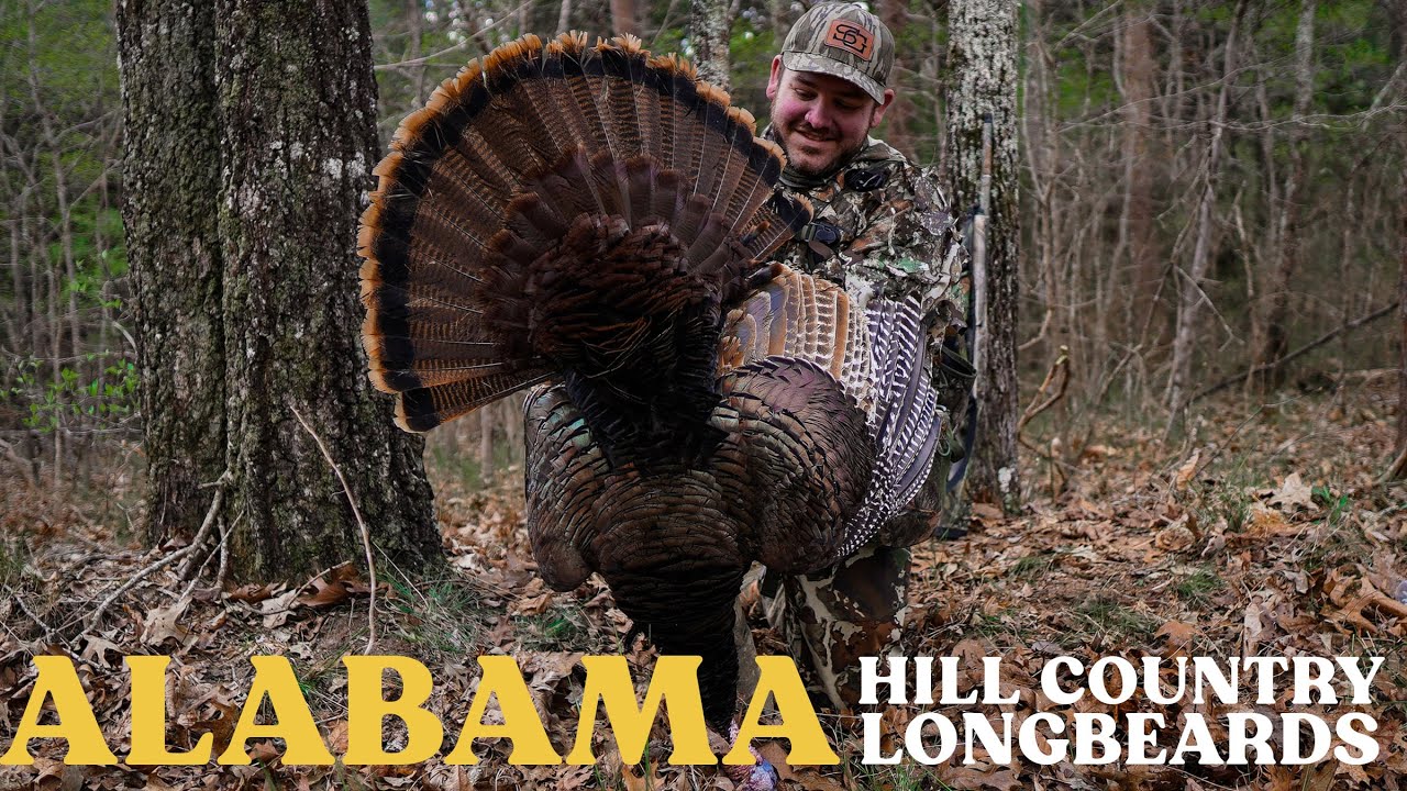 A Hard Gobbling Alabama Hill Country Longbeard | Spring Turkey Hunting 2022