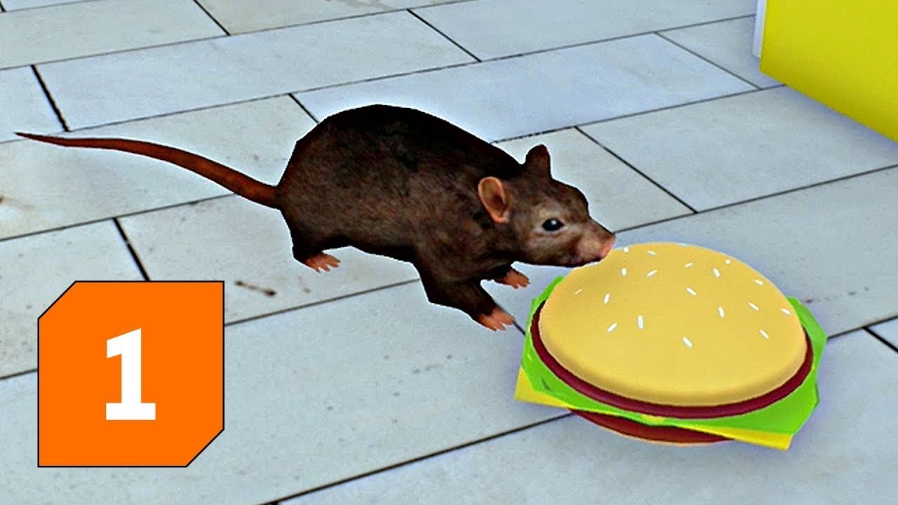 Slap The Fly │1│ Krysy a škodíci
