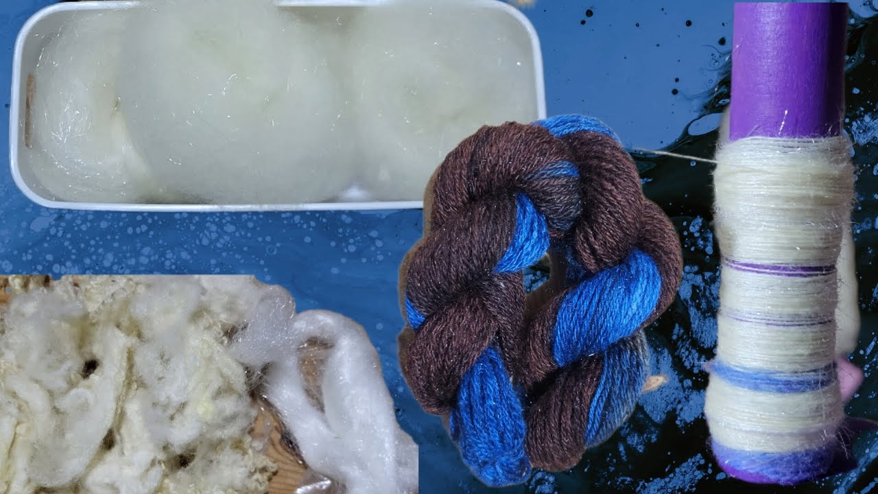 Combing, spinning & Dyeing cheviot 