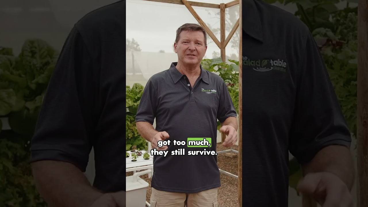 From Farm to Table: The Story of Our Hydroponic Gardening Products 🥬🌱