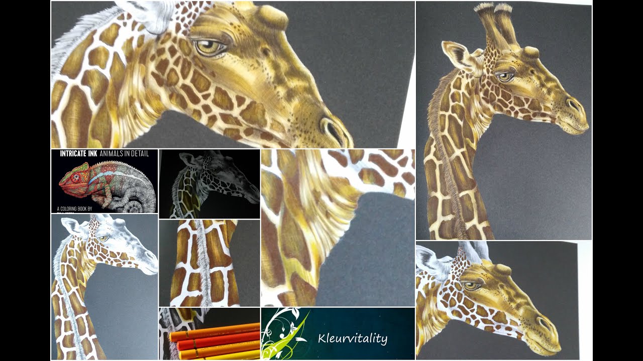 Intricate ink animals in detail : Giraffe ( kleurvitality ) Time lapse